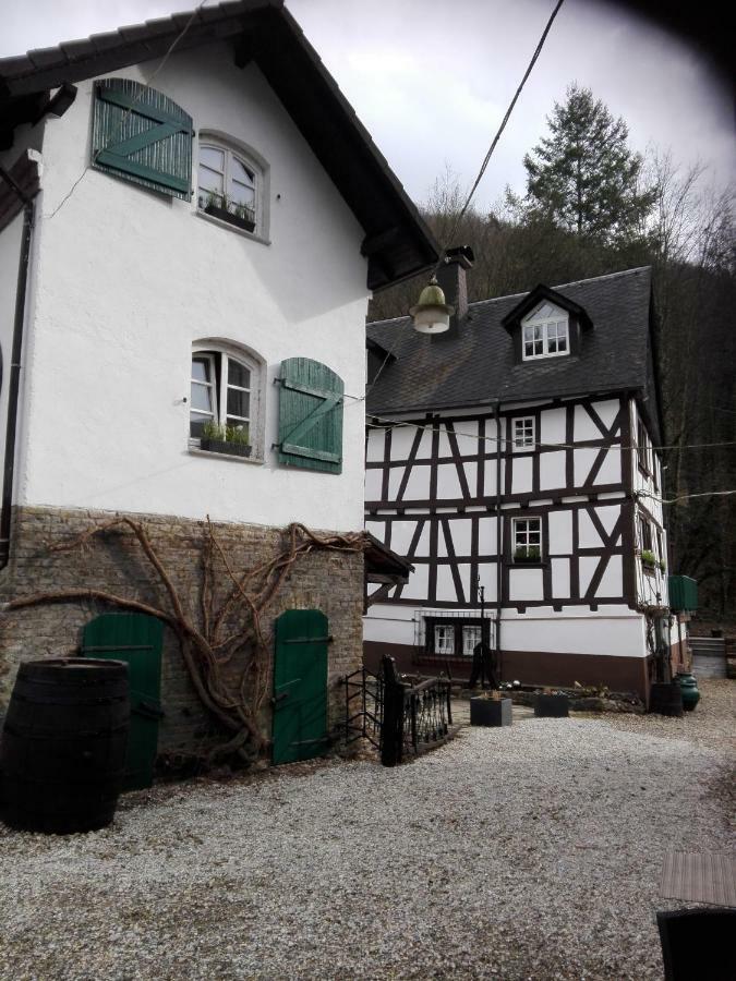 Ferienwohnung Mühle Braun, Im Backhaus Sankt Goarshausen Exterior foto